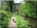 Wendover Arm: Looking West towards Wellonhead Bridge (No 7)