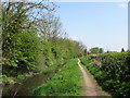 Wendover Arm: The Disused Canal and Towpath West of Bridge No 7