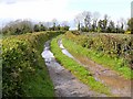 H2102 : Farm road near Mullanadarragh by Oliver Dixon