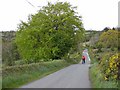 N1996 : Switchback country road at Cornamucklagh by Oliver Dixon