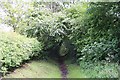 Bridleway beyond Greenacres