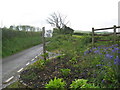 Signpost in flowerbed at Beara