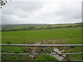 Grazing pasture above Menaburle