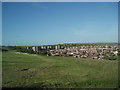 North Whitehawk