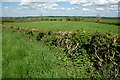 Grazing land at Cowsden