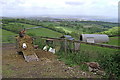 Livestock, Higher Woodway Road