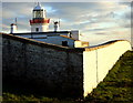 G7069 : Lighthouse: St John's Point by louise price