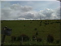 Thirlwall Common (south side) seen from the A69