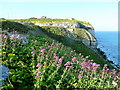 Valerian on the clifftop