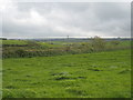 Pasture at Tretharrup