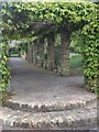 Foliage-covered walkway, Ruskin Park SE5