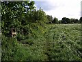 Dog exercise area, Windmill Hill (3)