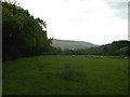 Sheep Pasture country road to Tycroes