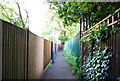 Urban footpath off White Cottage Rd