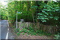 Footpath off Shipbourne Rd into Carroty Wood