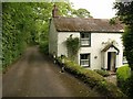 Cottage at Chacewood