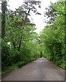 Pines, Holcombe Down Road