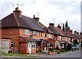 Elm Row, Stockton