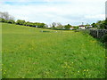 Pasture by Puddlebrook Road