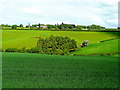 View to Forest Court from the B4224