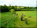 Cricket ground maintenance