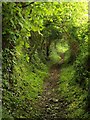 Bridleway near Chacewater