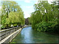 Looking North From Wharf Mill, Winchester