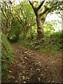 Bridleway near Cox Hill