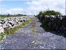 M3714 : Walled farm track, Mulroog West Townland by Mac McCarron