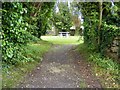 M4711 : Picnic table in garden - Cregaclare Demesne Townland by Mac McCarron