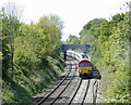 2009 : Stone train approaching Great Cheverell