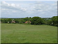 View across fields to houses at the north end of East Chiltington