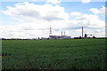 Crop Field near Tunbridge Hill