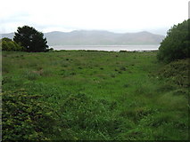 V7297 : Looking across to Dingle Bay by David Medcalf