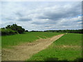 Footpath between Little Bealings and Great Bealings