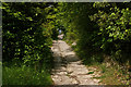 Path up Colley Hill