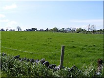 M4307 : Pasture - Crannagh Townland by Mac McCarron