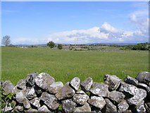 M4207 : Silage field - Crannagh Townland by Mac McCarron