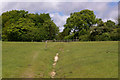 Path on Colley Hill