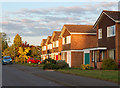 Evening sun, Northampton Lane, Dunchurch