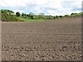 Fields at Wormit