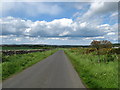 Road leading towards Roxburgh