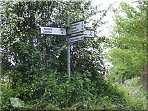 TM3569 : Roadsign on Pouys Street by Geographer