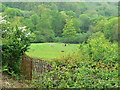 Valley north of the A40 near Llanddewi Velfrey