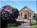 Kirton Methodist church, plus magnificent rhododendron