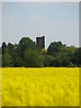 Church Tower