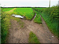 Field margin near Three Gates south-east of Red Roses