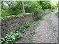 Path from Gower Hey Woods