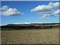 Farmland at Dalbog, near Edzell