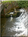 Weir on the River Lim